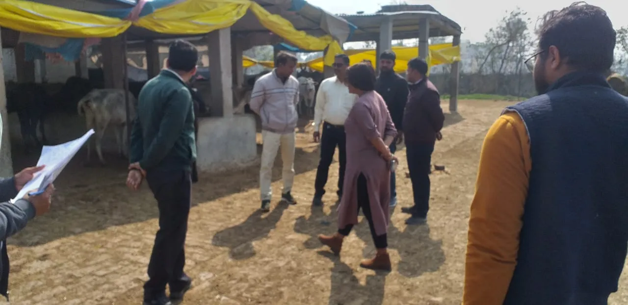 मिल्कीपुर: सीडीओ ने परसवां व पलिया माफी गौशाला का किया औचक निरीक्षण