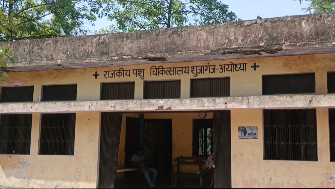 शुजागंज, अयोध्या: राजकीय पशु चिकित्सालय शुजागंज में किसी और की तैनाती पर कोई और कर रहा कार्य