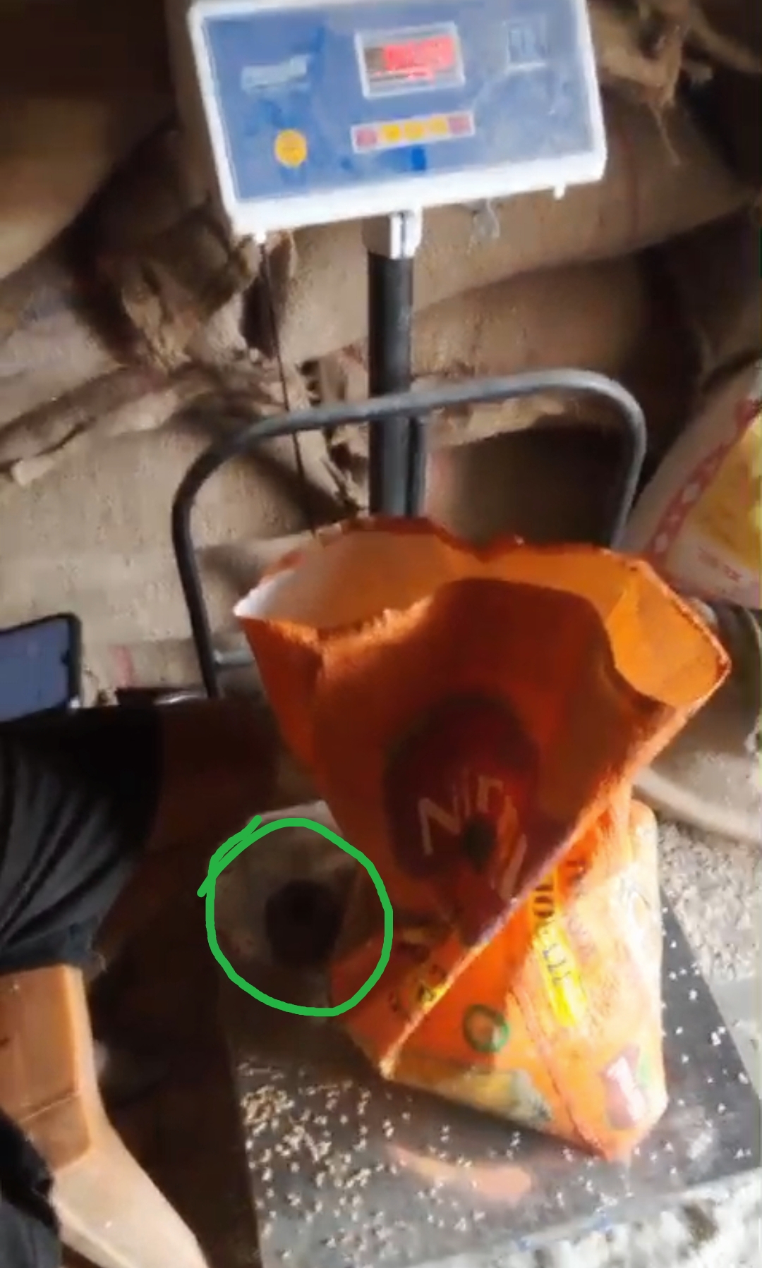 ग्राम पंचायत रहीमगंज धौरहरा में कोटेदार डाल रहा गरीबो के राशन पर डाका, तौल मशीन पर 2 किलो का वांट रखकर तौल रहा गरीबों का राशन