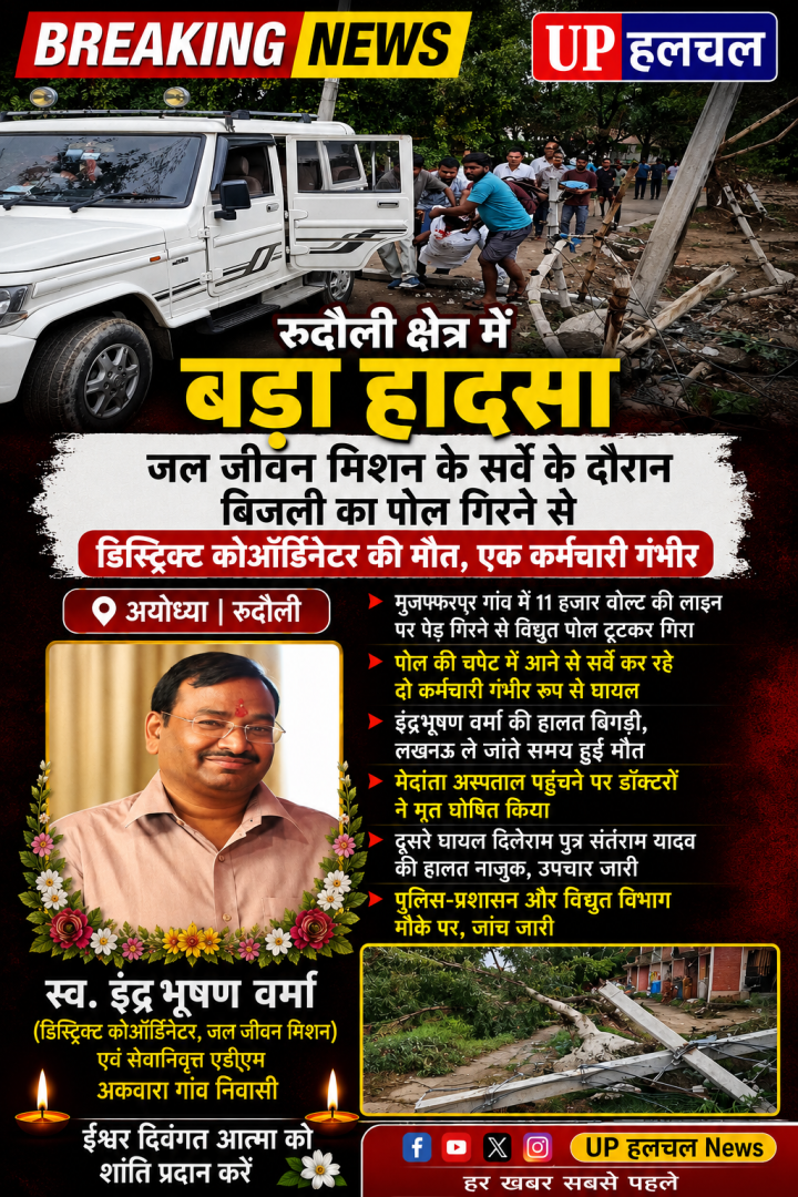 बिजली का पोल गिरने से डिस्ट्रिक्ट कोऑर्डिनेटर की मौत, एक कर्मचारी गंभीर