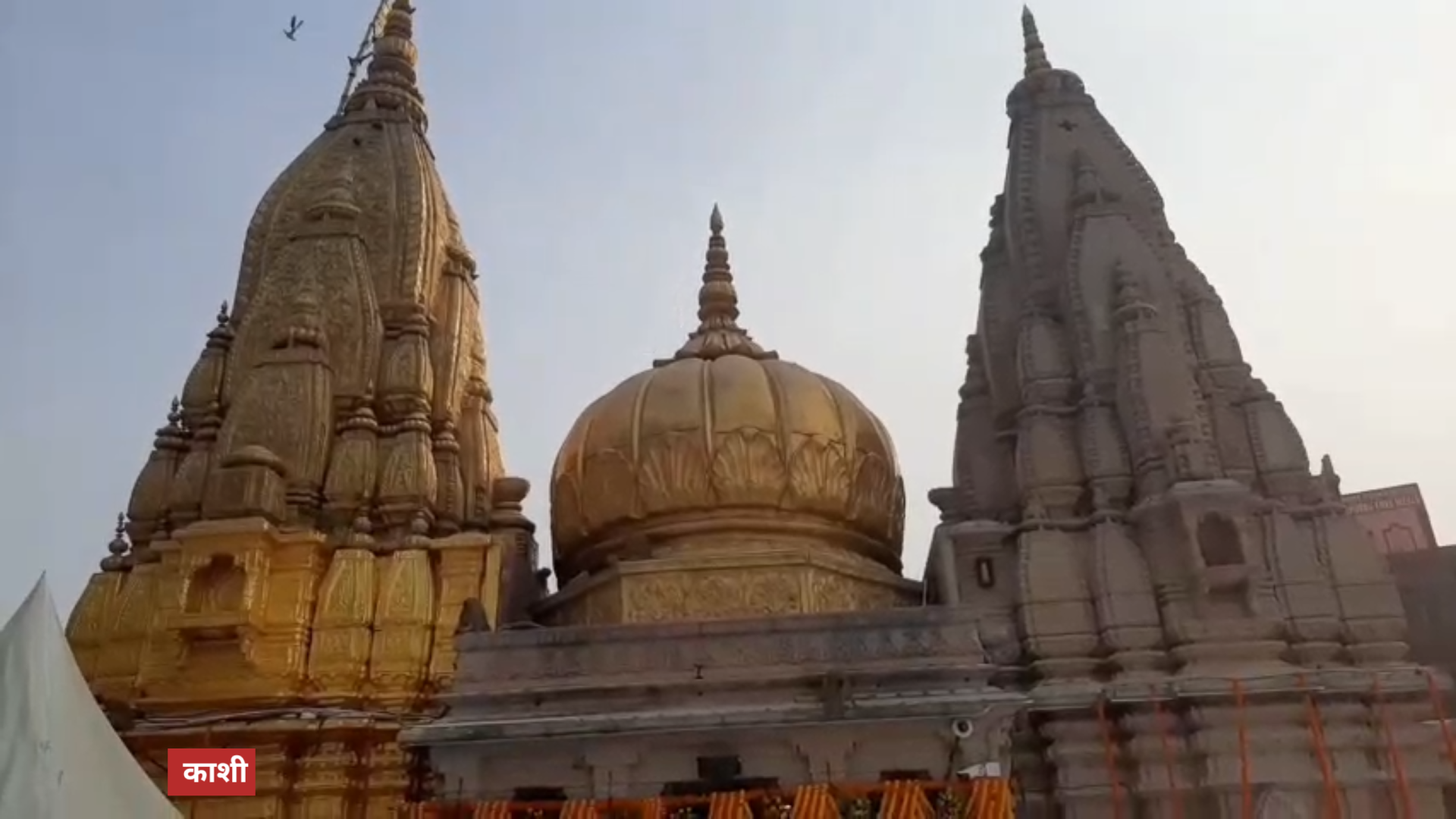 जांच और श्वेत पत्र जारी करने की मांग